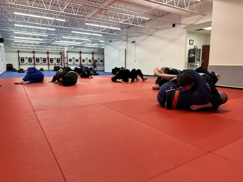 Brazilian Jiu Jitsu crew