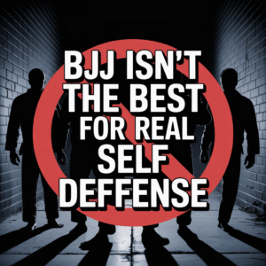 best self defense program Albany NY