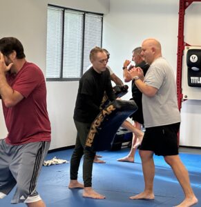 fast-track-defense-vs-bjj-empire-albany