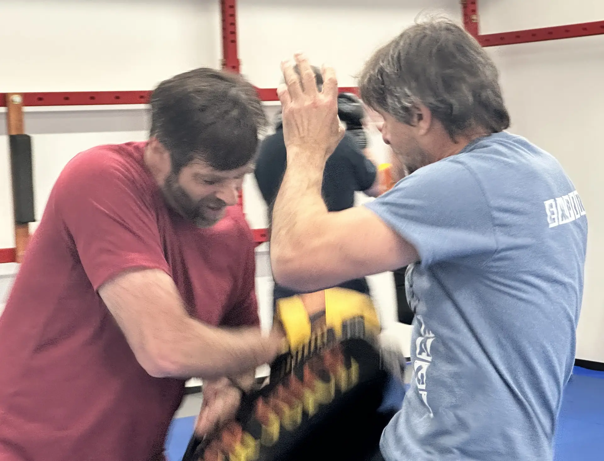 adult martial arts training Albany NY